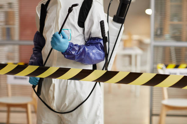 Professional Odor Removal technician working in Three Bridges, NJ