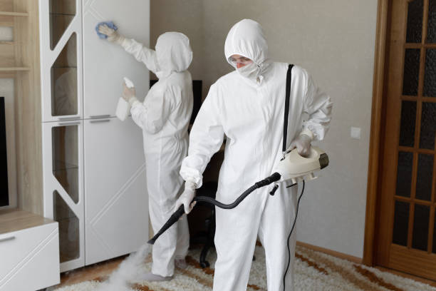 24/7 Emergency Odor Removal experts in Three Bridges, NJ