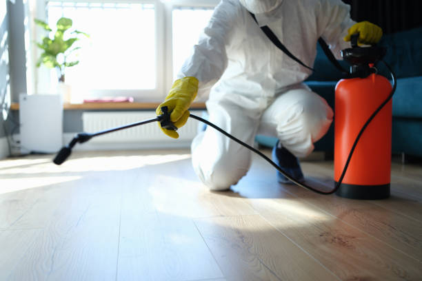 Reliable Odor Removal contractor in Three Bridges, NJ by Trauma Clean Pros